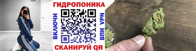hydra ТОР  Новое Девяткино  Бошки марихуана ГИДРОПОН 